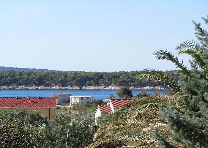 Pijaza *