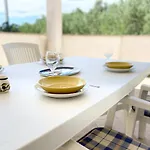 Pijaza *